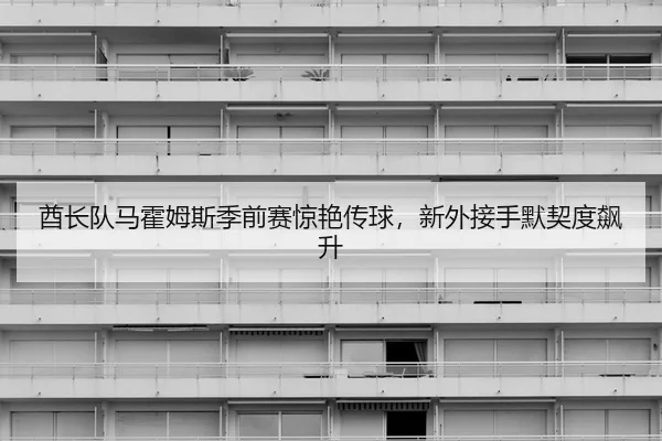 酋长队马霍姆斯季前赛惊艳传球，新外接手默契度飙升