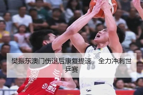 樊振东澳门伤退后康复提速，全力冲刺世乒赛