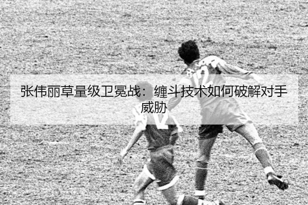 张伟丽草量级卫冕战：缠斗技术如何破解对手威胁
