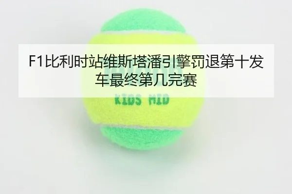 bi-li-shi-zhan-wei-si-ta-pan-yin-qing-fa-tui-di-shi-fa-che-zui-zhong-di-ji-wan-sai-2-692.jpg