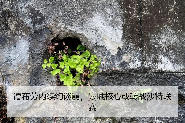 de-bu-lao-nei-xu-yue-tan-beng-man-cheng-he-xin-huo-zhuan-zhan-sha-te-lian-sai-1-724.jpg